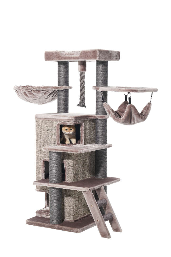 Nobby Kratzbaum Raya